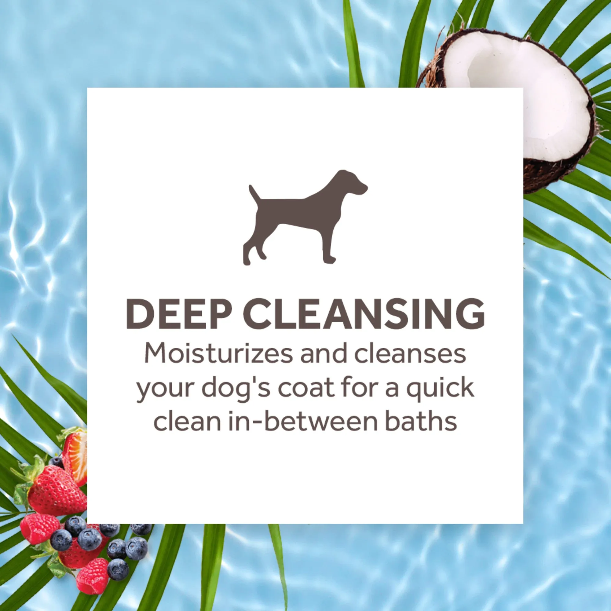 20% OFF: TropiClean Berry & Coconut Deep Cleansing Waterless Shampoo For Dogs