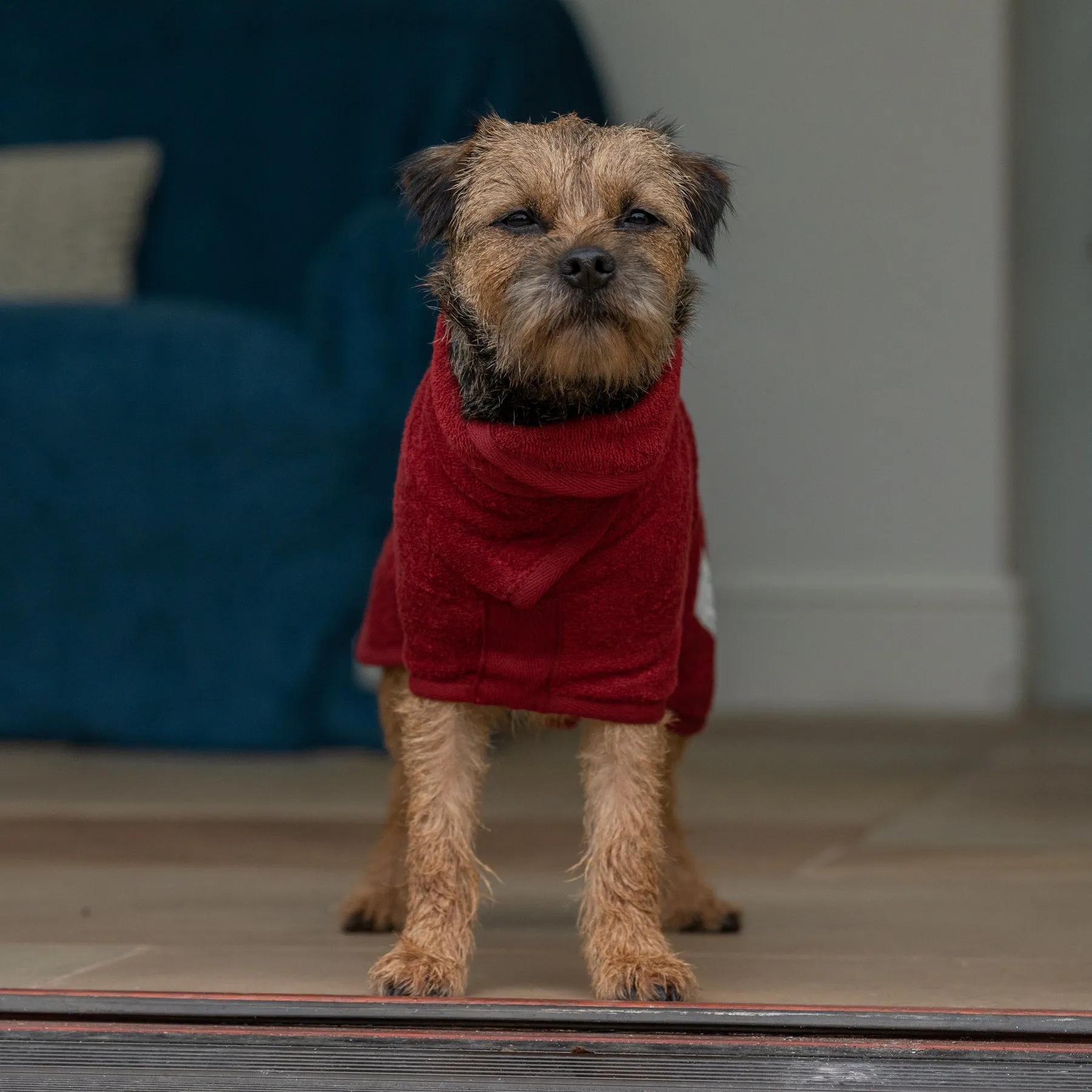 Classic Dog Drying Coat - Rosehip