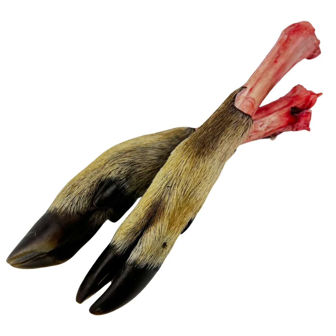 Deer Feet - 2 per Pack