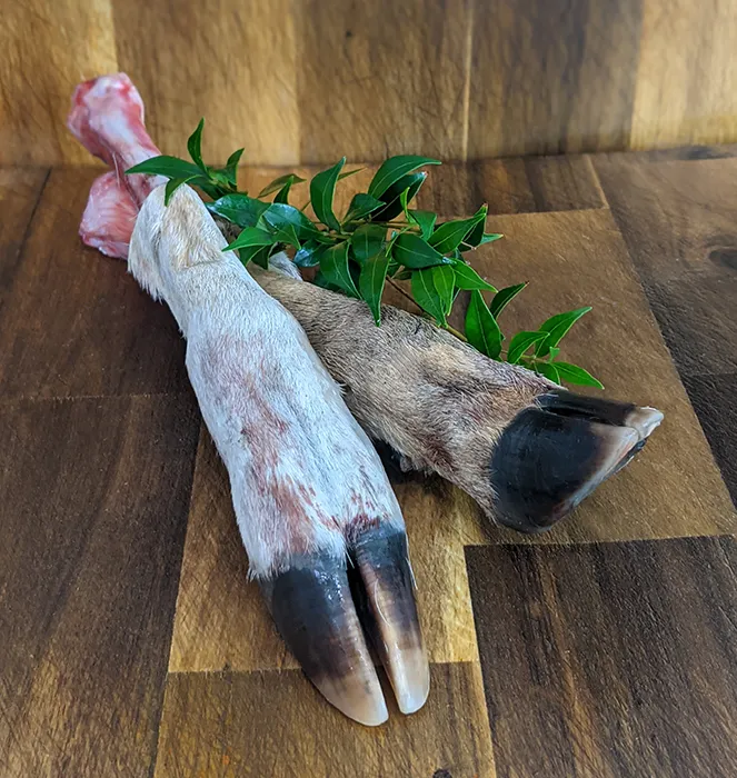 Deer Feet - 2 per Pack