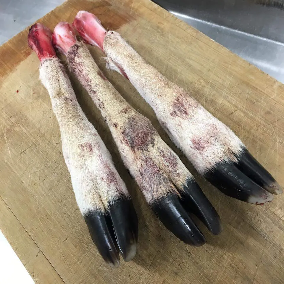 Deer Feet - 2 per Pack