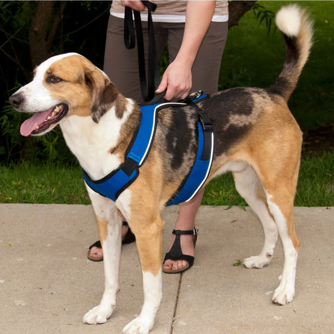 EasySport™ Harness