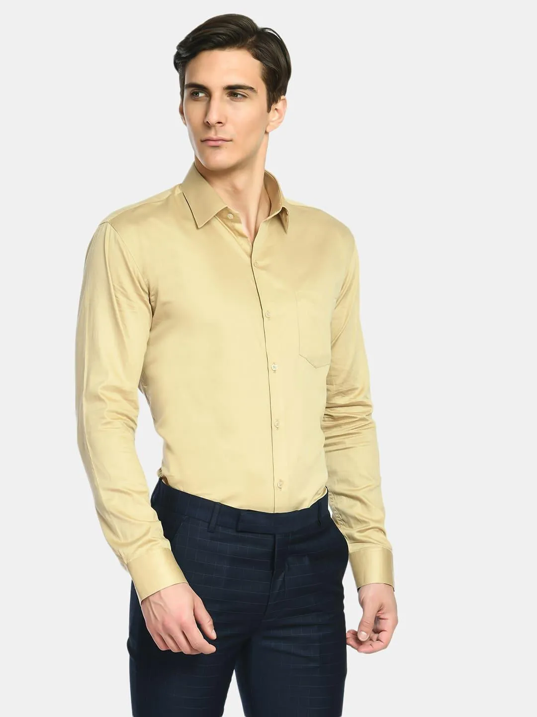 Men's Fawn Spread Collar Solid Formal Shirt