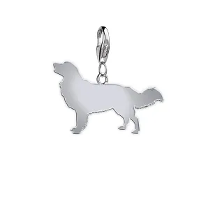 Nova Scotia Duck Tolling Retriever Silhouette Silver Charm