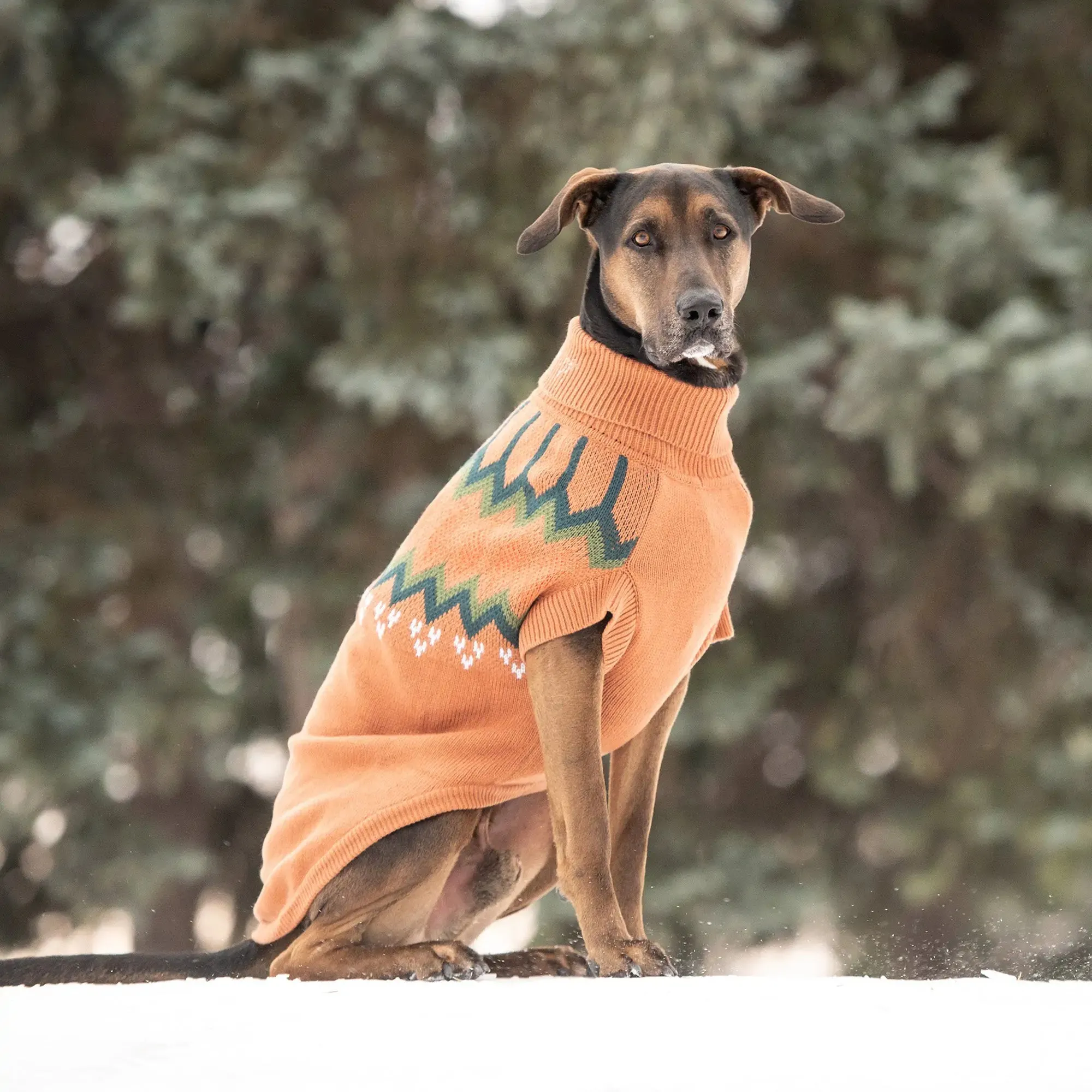 Sculpted Turtleneck Dog Sweater with Vintage Heritage Design - Hazel