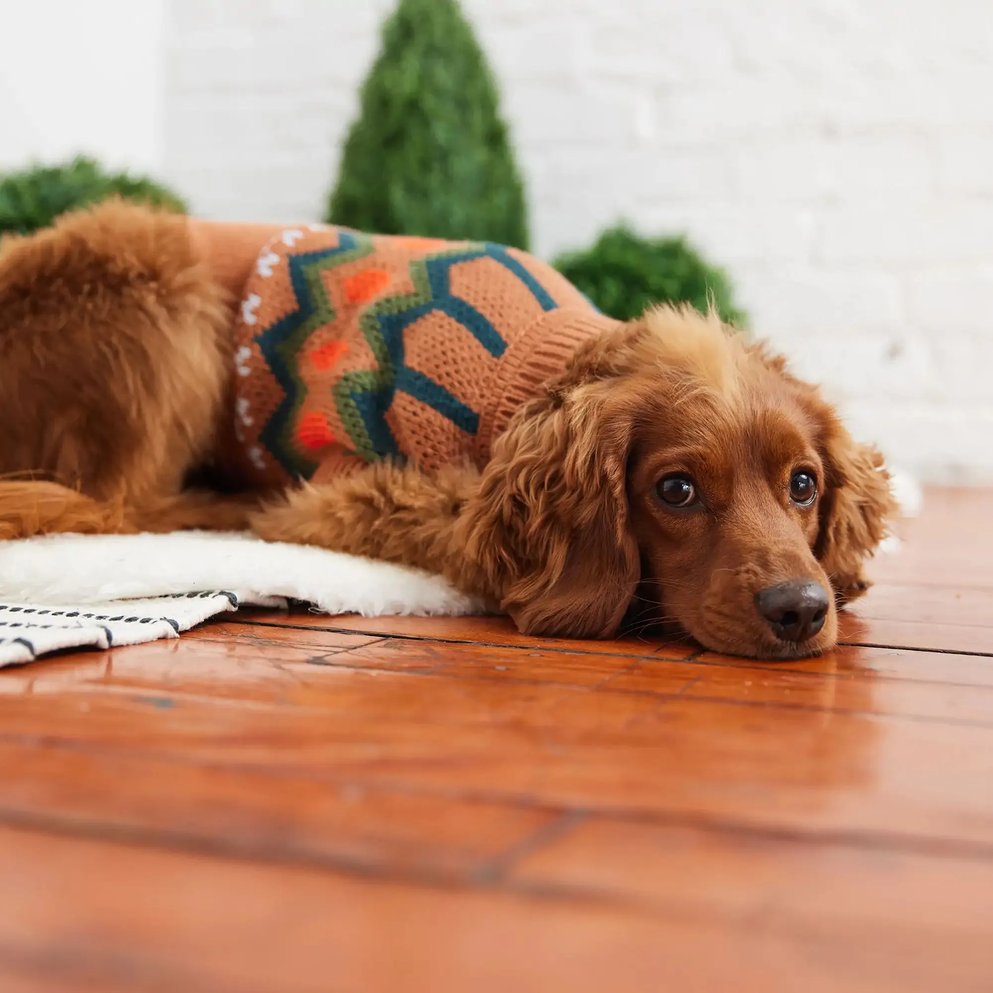 Sculpted Turtleneck Dog Sweater with Vintage Heritage Design - Hazel