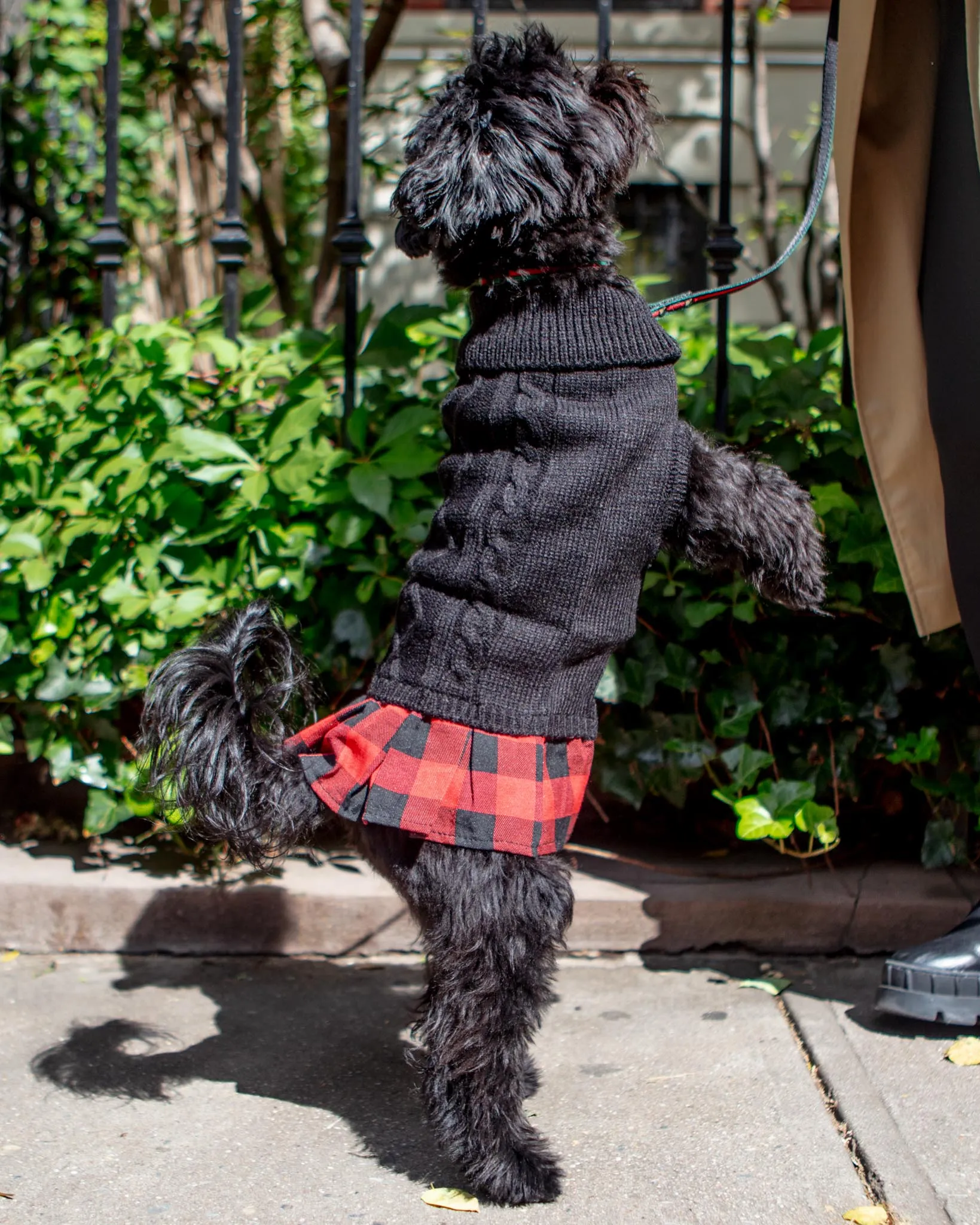 Turtleneck Sweater Dress for Dogs